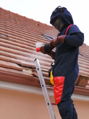 stop guepes 72 photo1